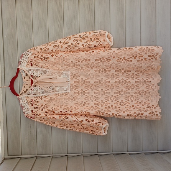 NWOT Sandro Paris Kezel Shift Dress with Embroidery - Picture 3 of 7